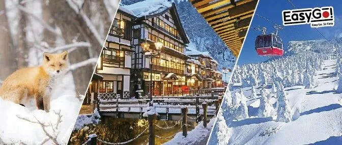 仙台发｜银山温泉&藏王树冰一/两日游