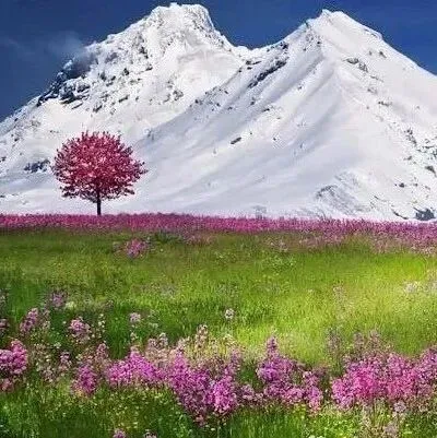 抖音集团如何巧用“<em>数仓</em>”降本