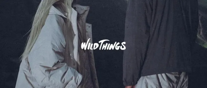 穿懂Wild <em>Things</em>：铸机能为诗，化硬核为美