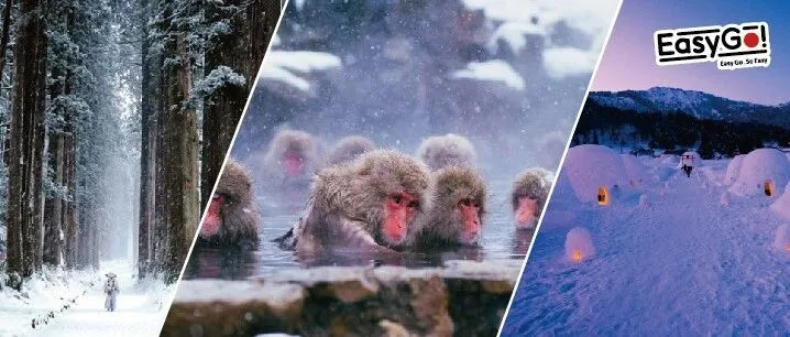 东京＆长野发｜冬季长野必玩特价1日游