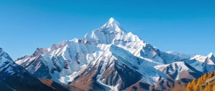 两家省级保理获AA+主体信用评级！