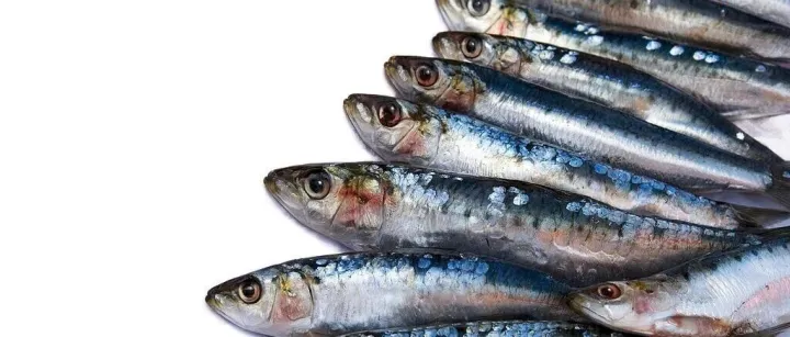 雷军、吴<em>泳</em>铭，押注这个卖海鲜的85后