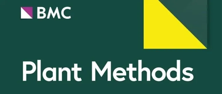 海南省农科院果树所：RGB-D“看一眼”，量出荔枝果实与果核的毫米级横纵径和克重 | Plant Methods