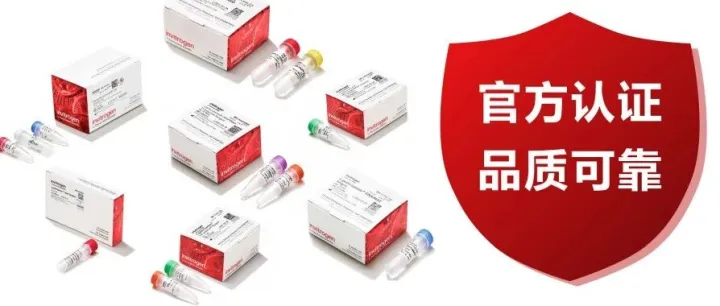 拒绝假货！Invitrogen™转染试剂正品识别及购买指南