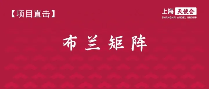 【项目直击】布兰矩阵：全球领先<em>的</em>AI算法全生命周期安全<em>服务</em><em>提供商</em>