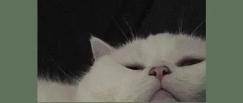 双语学习｜“私生子”用英语怎么说？