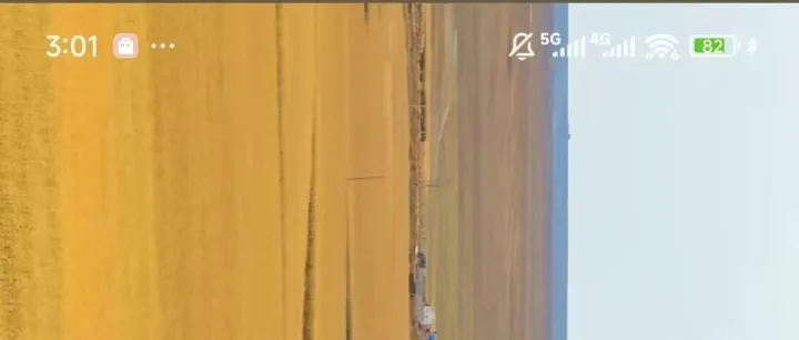 亚马逊消费者法案避坑指南：天芯跨境实战案例全解析