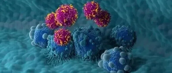 Check our latest Featured Articles and Collections!