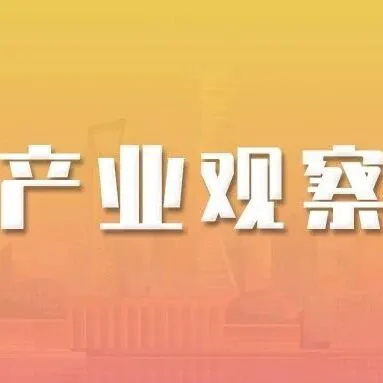 人形机器人量产元年，地方政府招商引资的重点放在哪？