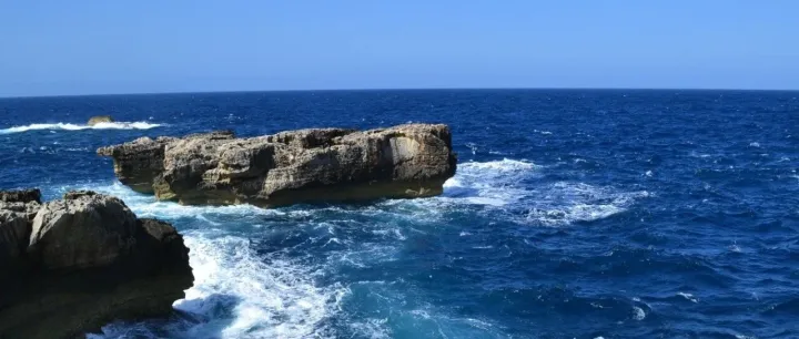 1688运营自学全套流程，新店如何快速获得订单？