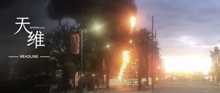 突发！新西兰10米巨型圣诞树被大火烧毁！30岁男子纵火被捕！“13万纽币购入，重达7000公斤！”