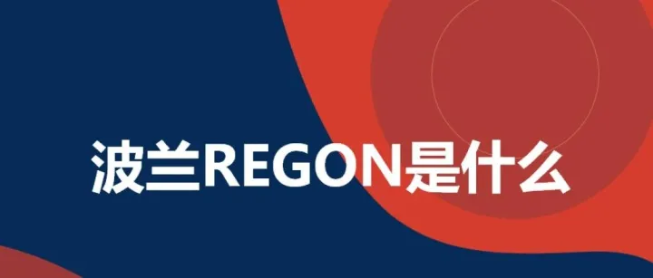 波兰REGON是什么
