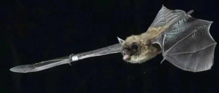 Check our latest Articles and Perspective!