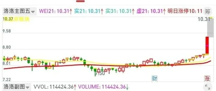 投资，就像选女朋友，投资也是踏实过日子