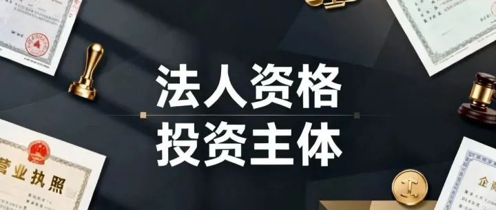 分公司投资入股资格解析