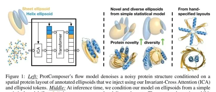 ProtComposer: 基于3D椭球体表示的可控蛋白质结构生成模型