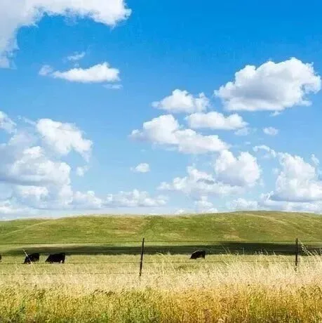 <em>Ontology</em>才是答案