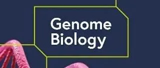 X-LDR：构建跨物种连锁不平衡（LD）的“超级图谱”