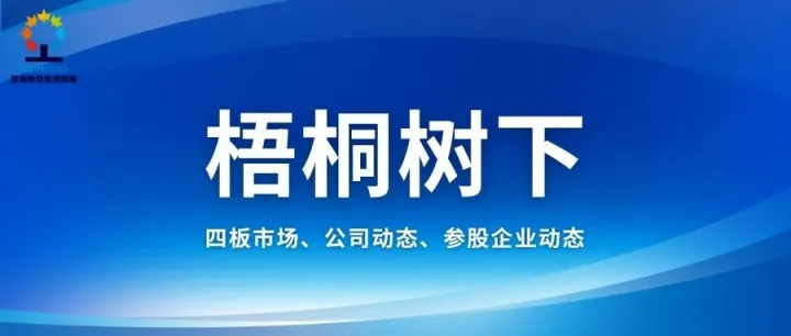 梧桐树下 | 前海股交投资控股官网改版上线！