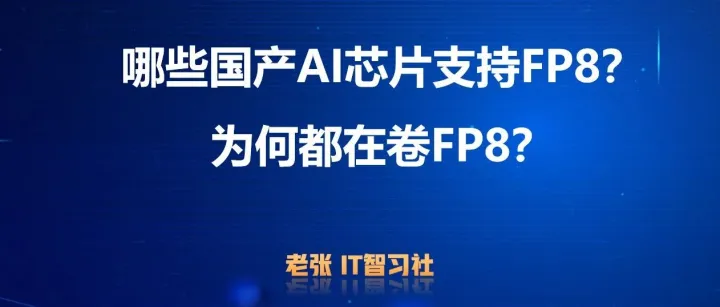 哪些<em>国产</em>AI<em>芯片</em><em>支持</em>FP8？为何都在卷FP8？
