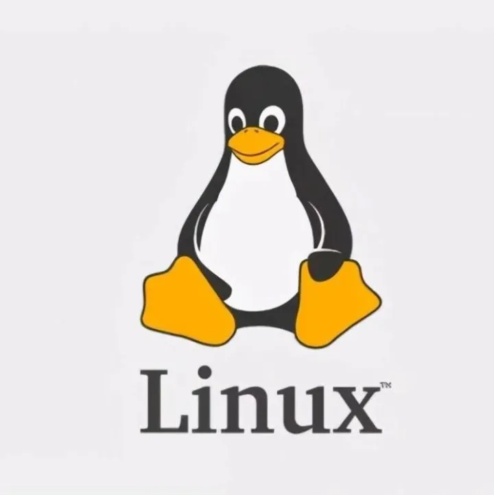 Linux服务器入侵检测与应急响应完全指南：从发现到处置的实战手册