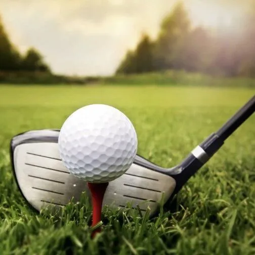 TEC SHINE｜<em>Charity</em> Golf Coming