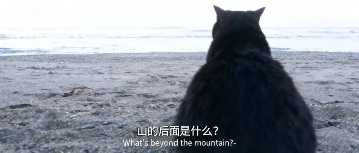 全网都玩嗨了！用豆包给自己P出一部小电影！网友：这谁还用PS？