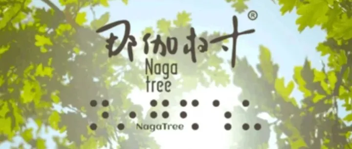 那伽树共建《北京轮椅友好目的地地图》2.0版