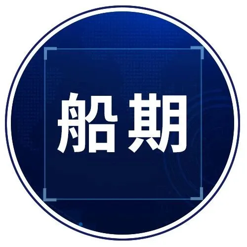 2025年51周船期排柜计划，先人一步，商机无限