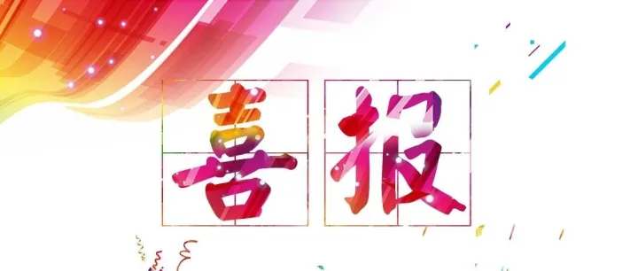 喜讯！上海岩清信息科技有限公司荣获两项重要奖项！