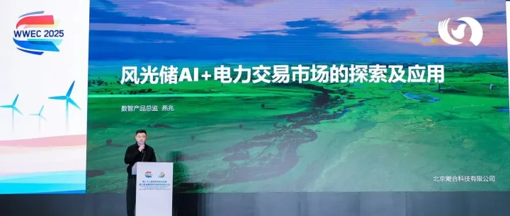 飔合动态 | 新能源电价普遍承压，数智驱动提升收益韧性