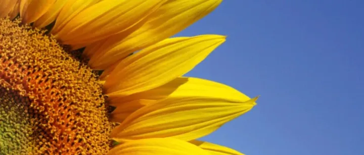 300+期刊，88%为SCI︱Springer生物医学与生命科学期刊推荐