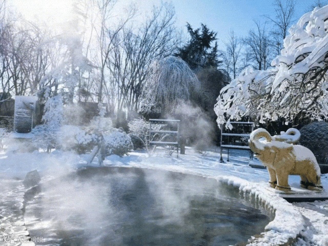 雪地养生园.gif