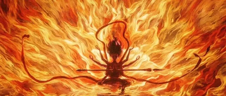 分享一下国外客户的数据