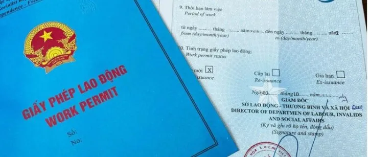 申请越南工作许可证：外国人及雇主指南