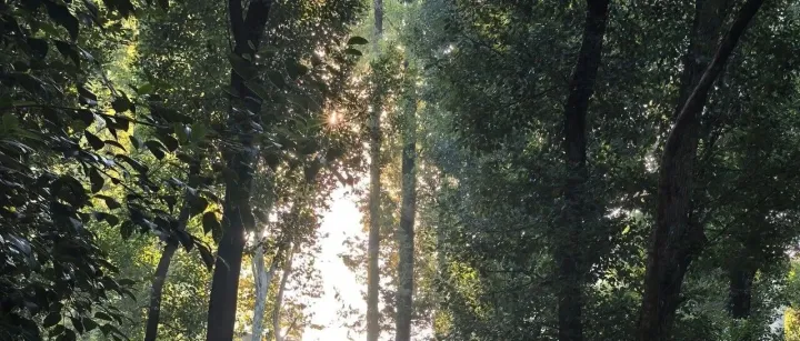 什么？得奖的学生把自己举报了？！