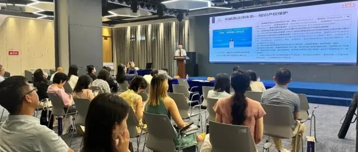 文森联合深圳南山知识产权保护中心，解读阿联酋知产风险