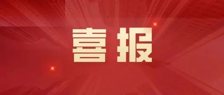 喜报｜特福加纳荣获“2024年度最佳建材生产企业奖”