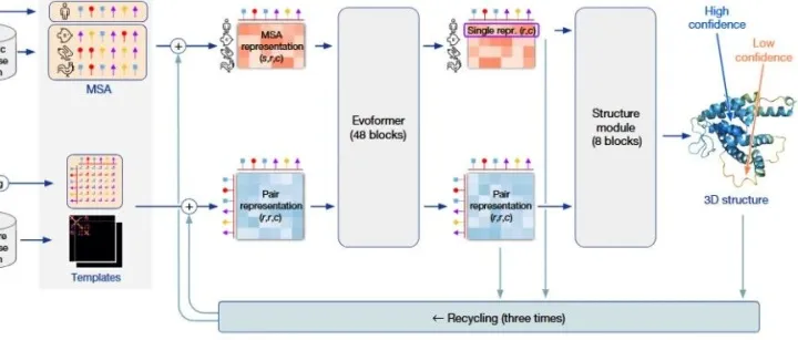 AlphaFold2论文精读00：总览