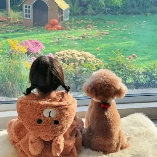 带着"毛孩子"一起，宠物移民日本·全攻略