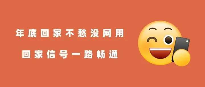 年底了，快把你的上网搭子带回家~
