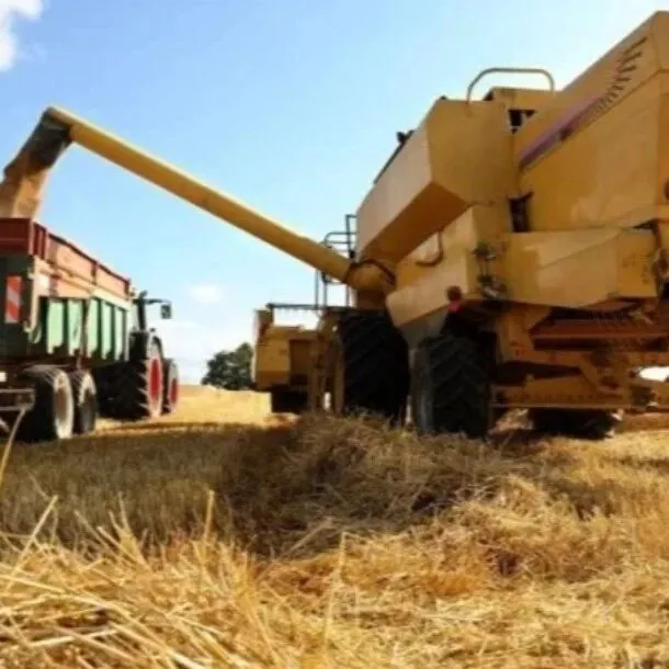 阿根廷<em>完成</em>首批对华商业小麦<em>出口</em>