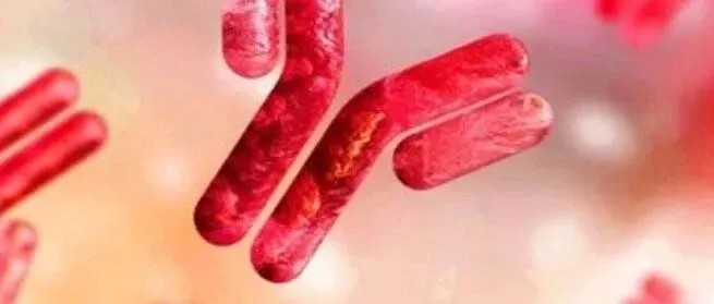 重磅福利｜Invitrogen 抗体买二赠一，热销好物0元带回家！