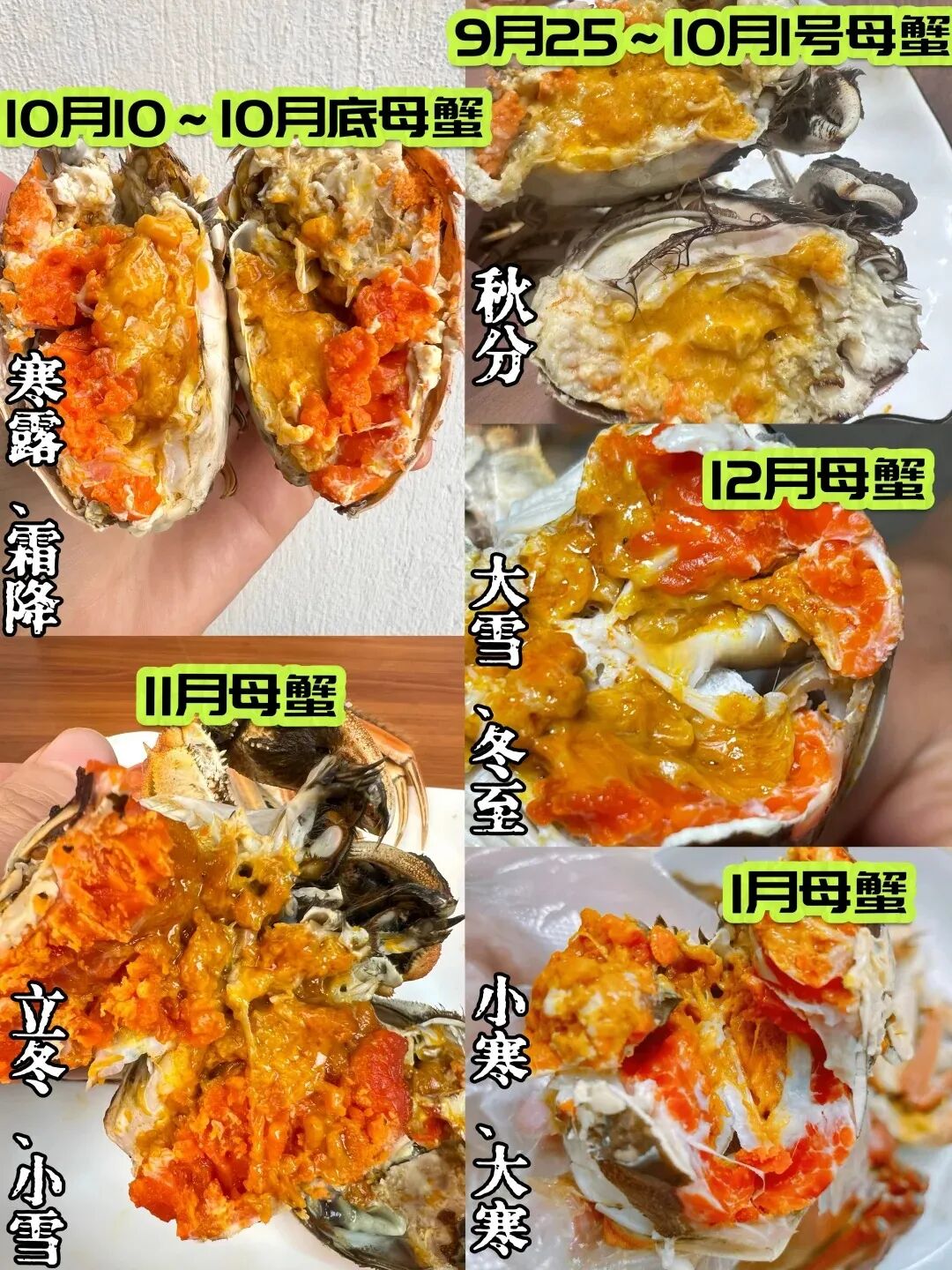 2025阳澄湖大闸蟹品蟹时间✅跟着24节气吃👅_1_阳澄蟹意_来自小红书网页版.jpg