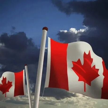 21kg以下？想要时效快？义乌宜达加拿大ups小货专线来袭！