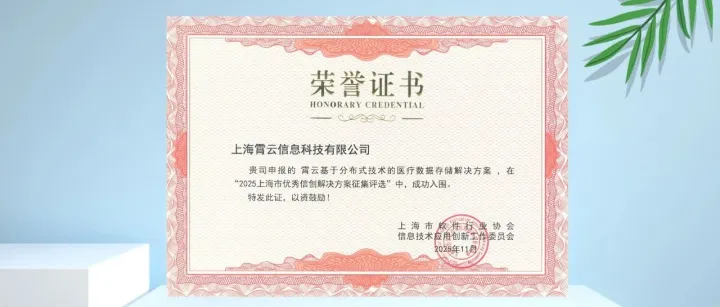 霄云科技《霄云基于分布式技术的医疗数据存储解决方案》入选2025年上海市优秀信创解决方案
