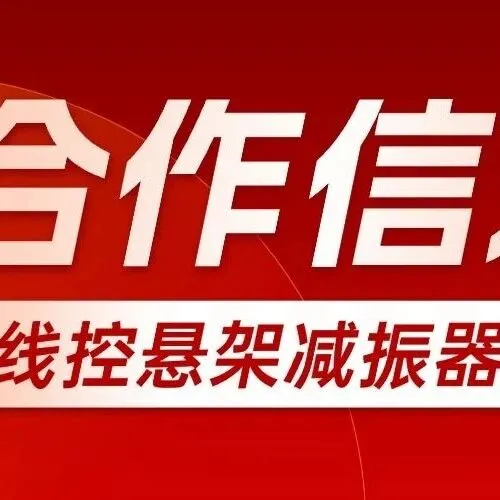 【寻求专家合作：减振器+电磁阀】