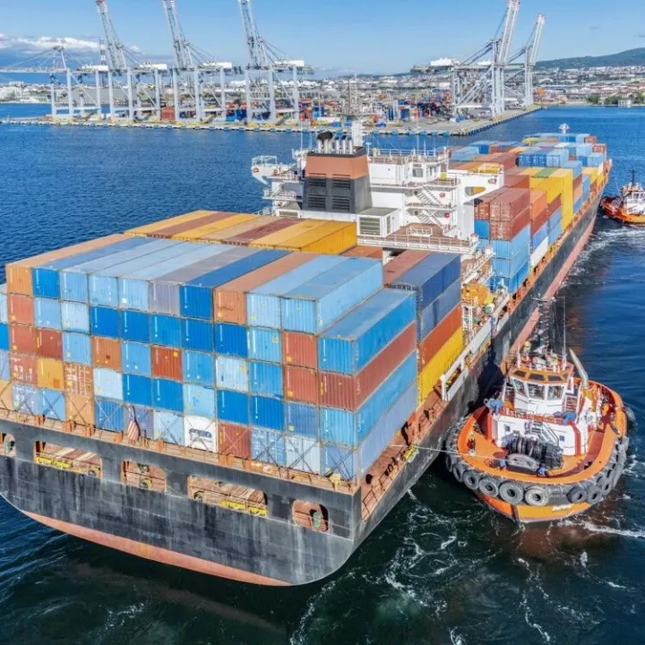 COSCO盐田 南沙 香港 蛇口到地中海海运费更新