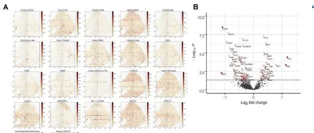 到底是谁在推崇 Nature、Science？——一场跨学科评价体系的结构性误解