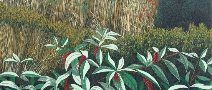 《今天有件大事儿》